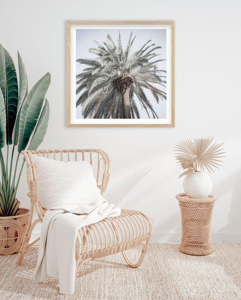 Santa Monica Palm | SQ Art Print-PRINT-Olive et Oriel-Olive et Oriel-Buy-Australian-Art-Prints-Online-with-Olive-et-Oriel-Your-Artwork-Specialists-Austrailia-Decorate-With-Coastal-Photo-Wall-Art-Prints-From-Our-Beach-House-Artwork-Collection-Fine-Poster-and-Framed-Artwork
