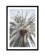 Santa Monica Palm Tree Art Print | PT-PRINT-Olive et Oriel-Olive et Oriel-A5 | 5.8" x 8.3" | 14.8 x 21cm-Black-With White Border-Buy-Australian-Art-Prints-Online-with-Olive-et-Oriel-Your-Artwork-Specialists-Austrailia-Decorate-With-Coastal-Photo-Wall-Art-Prints-From-Our-Beach-House-Artwork-Collection-Fine-Poster-and-Framed-Artwork
