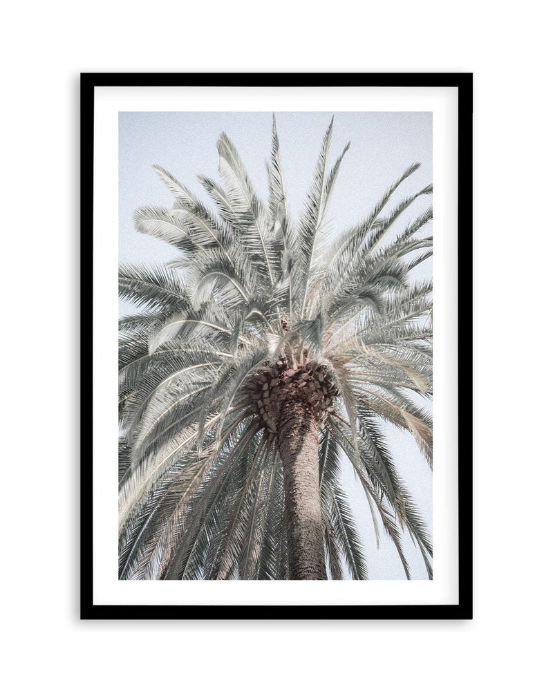Santa Monica Palm Tree Art Print | PT-PRINT-Olive et Oriel-Olive et Oriel-A5 | 5.8" x 8.3" | 14.8 x 21cm-Black-With White Border-Buy-Australian-Art-Prints-Online-with-Olive-et-Oriel-Your-Artwork-Specialists-Austrailia-Decorate-With-Coastal-Photo-Wall-Art-Prints-From-Our-Beach-House-Artwork-Collection-Fine-Poster-and-Framed-Artwork