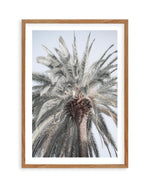 Santa Monica Palm Tree Art Print | PT-PRINT-Olive et Oriel-Olive et Oriel-50x70 cm | 19.6" x 27.5"-Walnut-With White Border-Buy-Australian-Art-Prints-Online-with-Olive-et-Oriel-Your-Artwork-Specialists-Austrailia-Decorate-With-Coastal-Photo-Wall-Art-Prints-From-Our-Beach-House-Artwork-Collection-Fine-Poster-and-Framed-Artwork