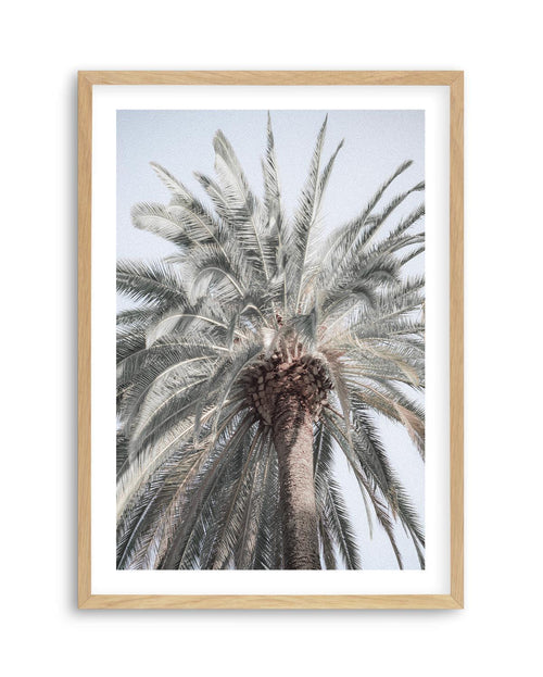 Santa Monica Palm Tree Art Print | PT-PRINT-Olive et Oriel-Olive et Oriel-A5 | 5.8" x 8.3" | 14.8 x 21cm-Oak-With White Border-Buy-Australian-Art-Prints-Online-with-Olive-et-Oriel-Your-Artwork-Specialists-Austrailia-Decorate-With-Coastal-Photo-Wall-Art-Prints-From-Our-Beach-House-Artwork-Collection-Fine-Poster-and-Framed-Artwork