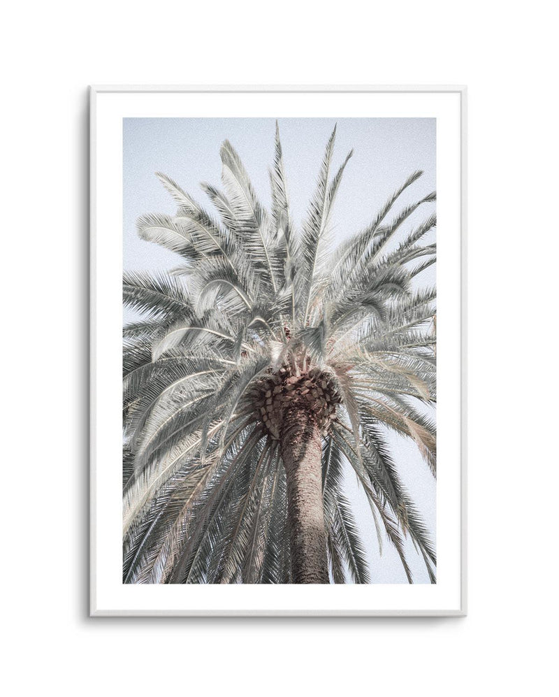Santa Monica Palm Tree Art Print | PT-PRINT-Olive et Oriel-Olive et Oriel-A5 | 5.8" x 8.3" | 14.8 x 21cm-Unframed Art Print-With White Border-Buy-Australian-Art-Prints-Online-with-Olive-et-Oriel-Your-Artwork-Specialists-Austrailia-Decorate-With-Coastal-Photo-Wall-Art-Prints-From-Our-Beach-House-Artwork-Collection-Fine-Poster-and-Framed-Artwork