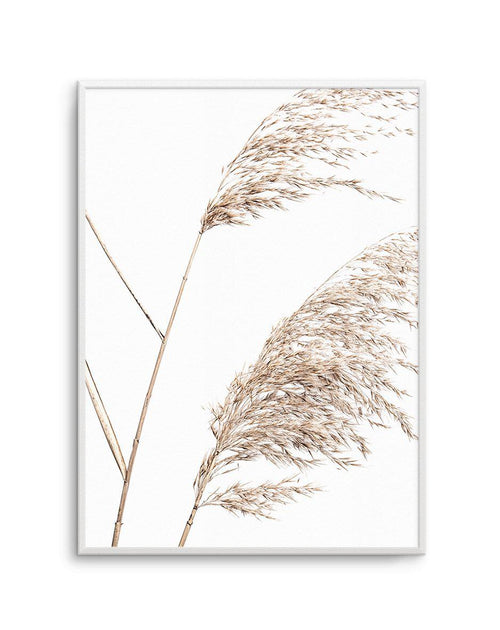 Sea Grass I Art Print-Buy-Bohemian-Wall-Art-Print-And-Boho-Pictures-from-Olive-et-Oriel-Bohemian-Wall-Art-Print-And-Boho-Pictures-And-Also-Boho-Abstract-Art-Paintings-On-Canvas-For-A-Girls-Bedroom-Wall-Decor-Collection-of-Boho-Style-Feminine-Art-Poster-and-Framed-Artwork-Update-Your-Home-Decorating-Style-With-These-Beautiful-Wall-Art-Prints-Australia