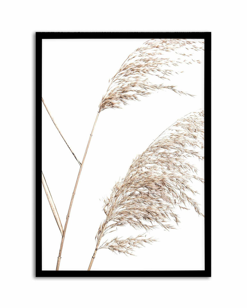 Sea Grass I Art Print-Buy-Bohemian-Wall-Art-Print-And-Boho-Pictures-from-Olive-et-Oriel-Bohemian-Wall-Art-Print-And-Boho-Pictures-And-Also-Boho-Abstract-Art-Paintings-On-Canvas-For-A-Girls-Bedroom-Wall-Decor-Collection-of-Boho-Style-Feminine-Art-Poster-and-Framed-Artwork-Update-Your-Home-Decorating-Style-With-These-Beautiful-Wall-Art-Prints-Australia