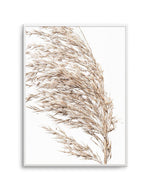 Sea Grass II Art Print-Buy-Bohemian-Wall-Art-Print-And-Boho-Pictures-from-Olive-et-Oriel-Bohemian-Wall-Art-Print-And-Boho-Pictures-And-Also-Boho-Abstract-Art-Paintings-On-Canvas-For-A-Girls-Bedroom-Wall-Decor-Collection-of-Boho-Style-Feminine-Art-Poster-and-Framed-Artwork-Update-Your-Home-Decorating-Style-With-These-Beautiful-Wall-Art-Prints-Australia