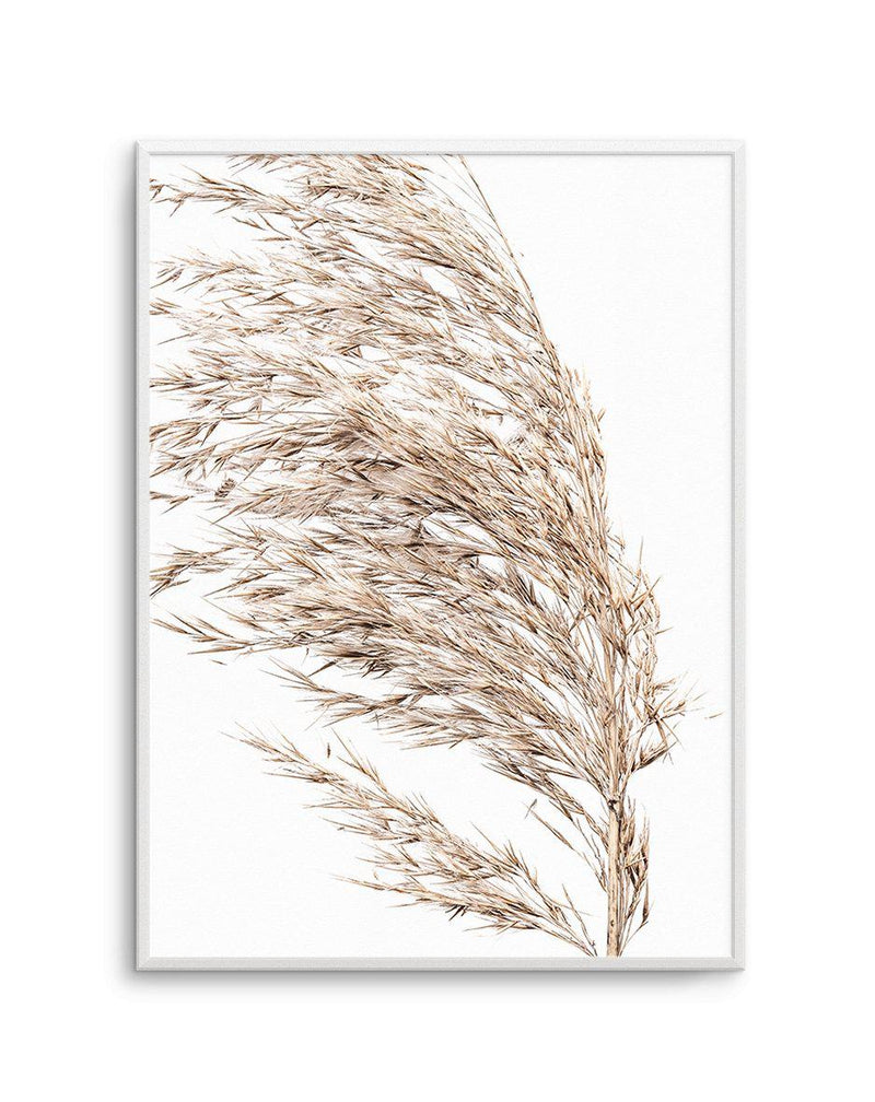 Sea Grass II Art Print-Buy-Bohemian-Wall-Art-Print-And-Boho-Pictures-from-Olive-et-Oriel-Bohemian-Wall-Art-Print-And-Boho-Pictures-And-Also-Boho-Abstract-Art-Paintings-On-Canvas-For-A-Girls-Bedroom-Wall-Decor-Collection-of-Boho-Style-Feminine-Art-Poster-and-Framed-Artwork-Update-Your-Home-Decorating-Style-With-These-Beautiful-Wall-Art-Prints-Australia
