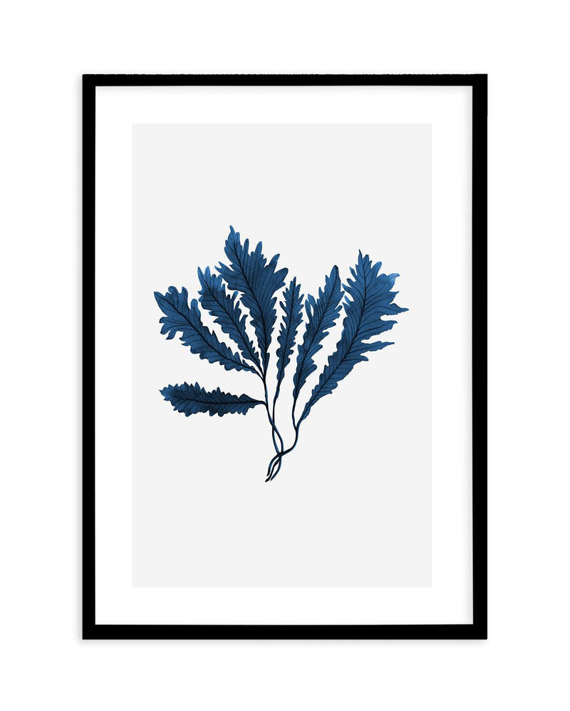 Sea Kelp II Art Print-PRINT-Olive et Oriel-Olive et Oriel-A5 | 5.8" x 8.3" | 14.8 x 21cm-Black-With White Border-Buy-Australian-Art-Prints-Online-with-Olive-et-Oriel-Your-Artwork-Specialists-Austrailia-Decorate-With-Coastal-Photo-Wall-Art-Prints-From-Our-Beach-House-Artwork-Collection-Fine-Poster-and-Framed-Artwork