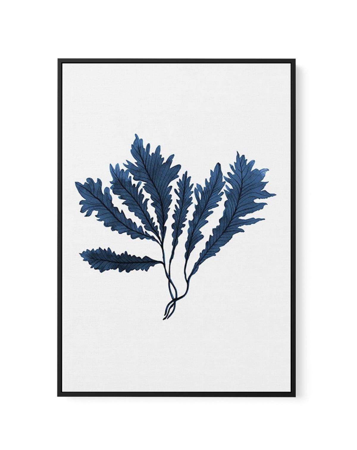 Sea Kelp II | Framed Canvas-CANVAS-You can shop wall art online with Olive et Oriel for everything from abstract art to fun kids wall art. Our beautiful modern art prints and canvas art are available from large canvas prints to wall art paintings and our proudly Australian artwork collection offers only the highest quality framed large wall art and canvas art Australia - You can buy fashion photography prints or Hampton print posters and paintings on canvas from Olive et Oriel and have them deli