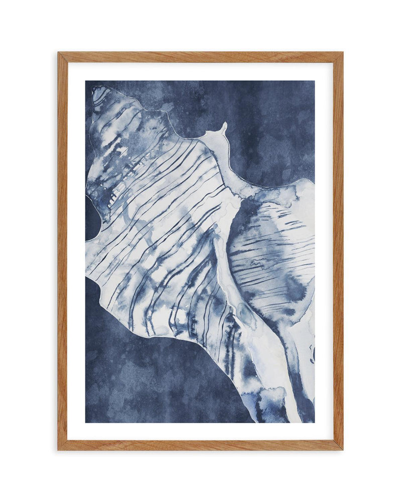 Seashell Luxe II Art Print-PRINT-Olive et Oriel-Olive et Oriel-50x70 cm | 19.6" x 27.5"-Walnut-With White Border-Buy-Australian-Art-Prints-Online-with-Olive-et-Oriel-Your-Artwork-Specialists-Austrailia-Decorate-With-Coastal-Photo-Wall-Art-Prints-From-Our-Beach-House-Artwork-Collection-Fine-Poster-and-Framed-Artwork