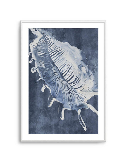 Seashell Luxe III Art Print-PRINT-Olive et Oriel-Olive et Oriel-Buy-Australian-Art-Prints-Online-with-Olive-et-Oriel-Your-Artwork-Specialists-Austrailia-Decorate-With-Coastal-Photo-Wall-Art-Prints-From-Our-Beach-House-Artwork-Collection-Fine-Poster-and-Framed-Artwork