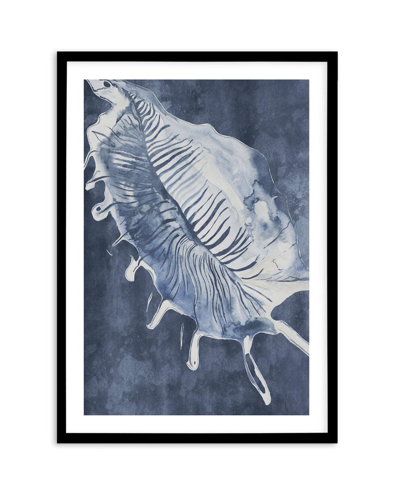 Seashell Luxe III Art Print-PRINT-Olive et Oriel-Olive et Oriel-A5 | 5.8" x 8.3" | 14.8 x 21cm-Black-With White Border-Buy-Australian-Art-Prints-Online-with-Olive-et-Oriel-Your-Artwork-Specialists-Austrailia-Decorate-With-Coastal-Photo-Wall-Art-Prints-From-Our-Beach-House-Artwork-Collection-Fine-Poster-and-Framed-Artwork