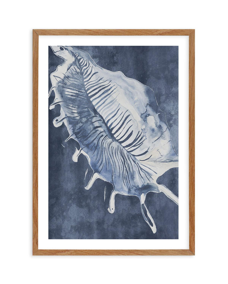 Seashell Luxe III Art Print-PRINT-Olive et Oriel-Olive et Oriel-50x70 cm | 19.6" x 27.5"-Walnut-With White Border-Buy-Australian-Art-Prints-Online-with-Olive-et-Oriel-Your-Artwork-Specialists-Austrailia-Decorate-With-Coastal-Photo-Wall-Art-Prints-From-Our-Beach-House-Artwork-Collection-Fine-Poster-and-Framed-Artwork
