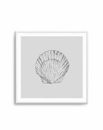 Seashell | Bay Scallop SQ Art Print-PRINT-Olive et Oriel-Olive et Oriel-Buy-Australian-Art-Prints-Online-with-Olive-et-Oriel-Your-Artwork-Specialists-Austrailia-Decorate-With-Coastal-Photo-Wall-Art-Prints-From-Our-Beach-House-Artwork-Collection-Fine-Poster-and-Framed-Artwork