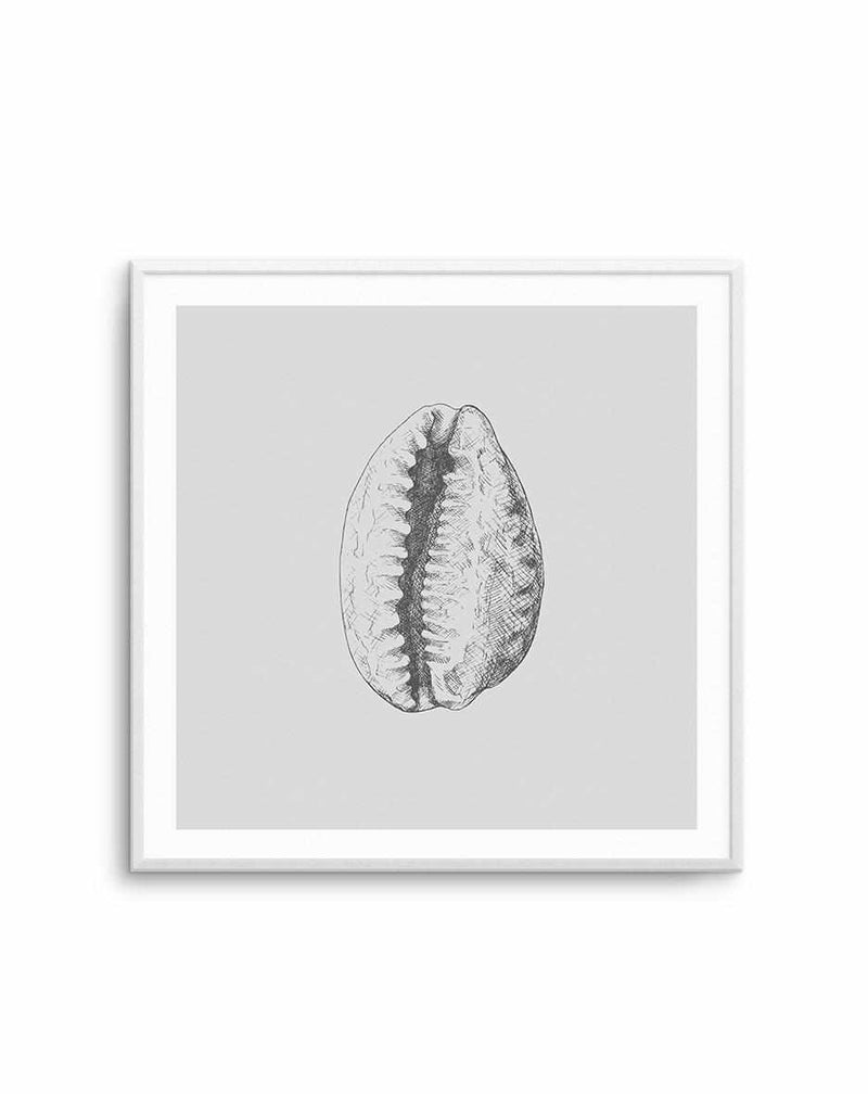 Seashell | Tiger Cowrie SQ Art Print-PRINT-Olive et Oriel-Olive et Oriel-Buy-Australian-Art-Prints-Online-with-Olive-et-Oriel-Your-Artwork-Specialists-Austrailia-Decorate-With-Coastal-Photo-Wall-Art-Prints-From-Our-Beach-House-Artwork-Collection-Fine-Poster-and-Framed-Artwork