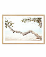 Seaside Bliss II Art Print-PRINT-Olive et Oriel-Olive et Oriel-A5 | 5.8" x 8.3" | 14.8 x 21cm-Oak-With White Border-Buy-Australian-Art-Prints-Online-with-Olive-et-Oriel-Your-Artwork-Specialists-Austrailia-Decorate-With-Coastal-Photo-Wall-Art-Prints-From-Our-Beach-House-Artwork-Collection-Fine-Poster-and-Framed-Artwork