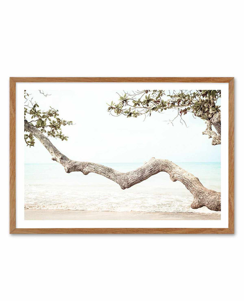 Seaside Bliss II Art Print-PRINT-Olive et Oriel-Olive et Oriel-50x70 cm | 19.6" x 27.5"-Walnut-With White Border-Buy-Australian-Art-Prints-Online-with-Olive-et-Oriel-Your-Artwork-Specialists-Austrailia-Decorate-With-Coastal-Photo-Wall-Art-Prints-From-Our-Beach-House-Artwork-Collection-Fine-Poster-and-Framed-Artwork