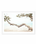 Seaside Bliss II Art Print-PRINT-Olive et Oriel-Olive et Oriel-A5 | 5.8" x 8.3" | 14.8 x 21cm-White-With White Border-Buy-Australian-Art-Prints-Online-with-Olive-et-Oriel-Your-Artwork-Specialists-Austrailia-Decorate-With-Coastal-Photo-Wall-Art-Prints-From-Our-Beach-House-Artwork-Collection-Fine-Poster-and-Framed-Artwork