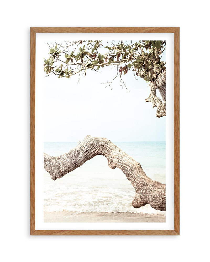 Seaside Bliss II Art Print | PT-PRINT-Olive et Oriel-Olive et Oriel-50x70 cm | 19.6" x 27.5"-Walnut-With White Border-Buy-Australian-Art-Prints-Online-with-Olive-et-Oriel-Your-Artwork-Specialists-Austrailia-Decorate-With-Coastal-Photo-Wall-Art-Prints-From-Our-Beach-House-Artwork-Collection-Fine-Poster-and-Framed-Artwork