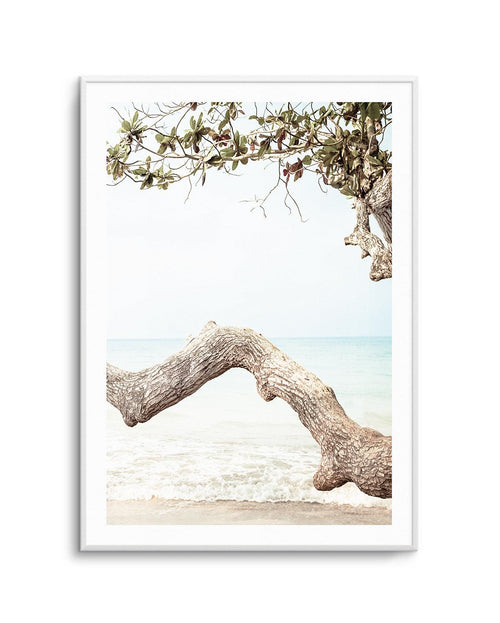 Seaside Bliss II Art Print | PT-PRINT-Olive et Oriel-Olive et Oriel-A5 | 5.8" x 8.3" | 14.8 x 21cm-Unframed Art Print-With White Border-Buy-Australian-Art-Prints-Online-with-Olive-et-Oriel-Your-Artwork-Specialists-Austrailia-Decorate-With-Coastal-Photo-Wall-Art-Prints-From-Our-Beach-House-Artwork-Collection-Fine-Poster-and-Framed-Artwork