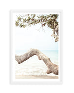 Seaside Bliss II Art Print | PT-PRINT-Olive et Oriel-Olive et Oriel-A5 | 5.8" x 8.3" | 14.8 x 21cm-White-With White Border-Buy-Australian-Art-Prints-Online-with-Olive-et-Oriel-Your-Artwork-Specialists-Austrailia-Decorate-With-Coastal-Photo-Wall-Art-Prints-From-Our-Beach-House-Artwork-Collection-Fine-Poster-and-Framed-Artwork