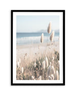 Seaside Grass Art Print | PT-PRINT-Olive et Oriel-Olive et Oriel-A5 | 5.8" x 8.3" | 14.8 x 21cm-Black-With White Border-Buy-Australian-Art-Prints-Online-with-Olive-et-Oriel-Your-Artwork-Specialists-Austrailia-Decorate-With-Coastal-Photo-Wall-Art-Prints-From-Our-Beach-House-Artwork-Collection-Fine-Poster-and-Framed-Artwork