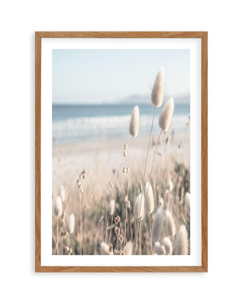 Seaside Grass Art Print | PT-PRINT-Olive et Oriel-Olive et Oriel-50x70 cm | 19.6" x 27.5"-Walnut-With White Border-Buy-Australian-Art-Prints-Online-with-Olive-et-Oriel-Your-Artwork-Specialists-Austrailia-Decorate-With-Coastal-Photo-Wall-Art-Prints-From-Our-Beach-House-Artwork-Collection-Fine-Poster-and-Framed-Artwork
