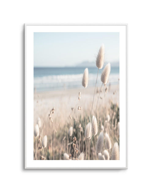 Seaside Grass Art Print | PT-PRINT-Olive et Oriel-Olive et Oriel-A5 | 5.8" x 8.3" | 14.8 x 21cm-Unframed Art Print-With White Border-Buy-Australian-Art-Prints-Online-with-Olive-et-Oriel-Your-Artwork-Specialists-Austrailia-Decorate-With-Coastal-Photo-Wall-Art-Prints-From-Our-Beach-House-Artwork-Collection-Fine-Poster-and-Framed-Artwork