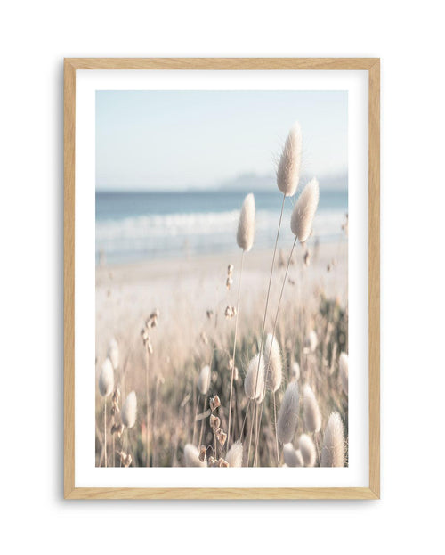 Seaside Grass Art Print | PT-PRINT-Olive et Oriel-Olive et Oriel-A5 | 5.8" x 8.3" | 14.8 x 21cm-Oak-With White Border-Buy-Australian-Art-Prints-Online-with-Olive-et-Oriel-Your-Artwork-Specialists-Austrailia-Decorate-With-Coastal-Photo-Wall-Art-Prints-From-Our-Beach-House-Artwork-Collection-Fine-Poster-and-Framed-Artwork