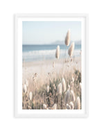 Seaside Grass Art Print | PT-PRINT-Olive et Oriel-Olive et Oriel-A5 | 5.8" x 8.3" | 14.8 x 21cm-White-With White Border-Buy-Australian-Art-Prints-Online-with-Olive-et-Oriel-Your-Artwork-Specialists-Austrailia-Decorate-With-Coastal-Photo-Wall-Art-Prints-From-Our-Beach-House-Artwork-Collection-Fine-Poster-and-Framed-Artwork
