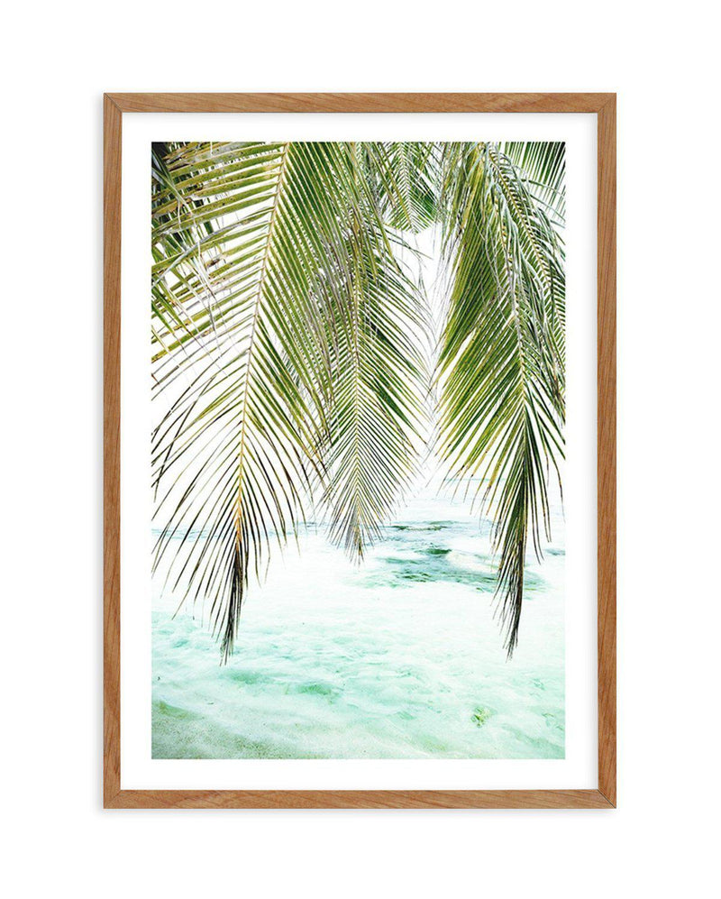 Seaside Palm Art Print-PRINT-Olive et Oriel-Olive et Oriel-Buy-Australian-Art-Prints-Online-with-Olive-et-Oriel-Your-Artwork-Specialists-Austrailia-Decorate-With-Coastal-Photo-Wall-Art-Prints-From-Our-Beach-House-Artwork-Collection-Fine-Poster-and-Framed-Artwork