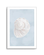 Seaside Shell I Art Print-PRINT-Olive et Oriel-Olive et Oriel-A5 | 5.8" x 8.3" | 14.8 x 21cm-Unframed Art Print-With White Border-Buy-Australian-Art-Prints-Online-with-Olive-et-Oriel-Your-Artwork-Specialists-Austrailia-Decorate-With-Coastal-Photo-Wall-Art-Prints-From-Our-Beach-House-Artwork-Collection-Fine-Poster-and-Framed-Artwork