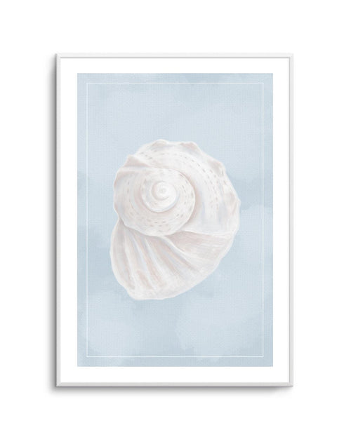 Seaside Shell I Art Print-PRINT-Olive et Oriel-Olive et Oriel-A5 | 5.8" x 8.3" | 14.8 x 21cm-Unframed Art Print-With White Border-Buy-Australian-Art-Prints-Online-with-Olive-et-Oriel-Your-Artwork-Specialists-Austrailia-Decorate-With-Coastal-Photo-Wall-Art-Prints-From-Our-Beach-House-Artwork-Collection-Fine-Poster-and-Framed-Artwork