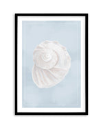 Seaside Shell I Art Print-PRINT-Olive et Oriel-Olive et Oriel-A5 | 5.8" x 8.3" | 14.8 x 21cm-Black-With White Border-Buy-Australian-Art-Prints-Online-with-Olive-et-Oriel-Your-Artwork-Specialists-Austrailia-Decorate-With-Coastal-Photo-Wall-Art-Prints-From-Our-Beach-House-Artwork-Collection-Fine-Poster-and-Framed-Artwork