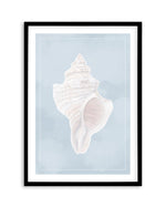 Seaside Shell II Art Print-PRINT-Olive et Oriel-Olive et Oriel-A5 | 5.8" x 8.3" | 14.8 x 21cm-Black-With White Border-Buy-Australian-Art-Prints-Online-with-Olive-et-Oriel-Your-Artwork-Specialists-Austrailia-Decorate-With-Coastal-Photo-Wall-Art-Prints-From-Our-Beach-House-Artwork-Collection-Fine-Poster-and-Framed-Artwork