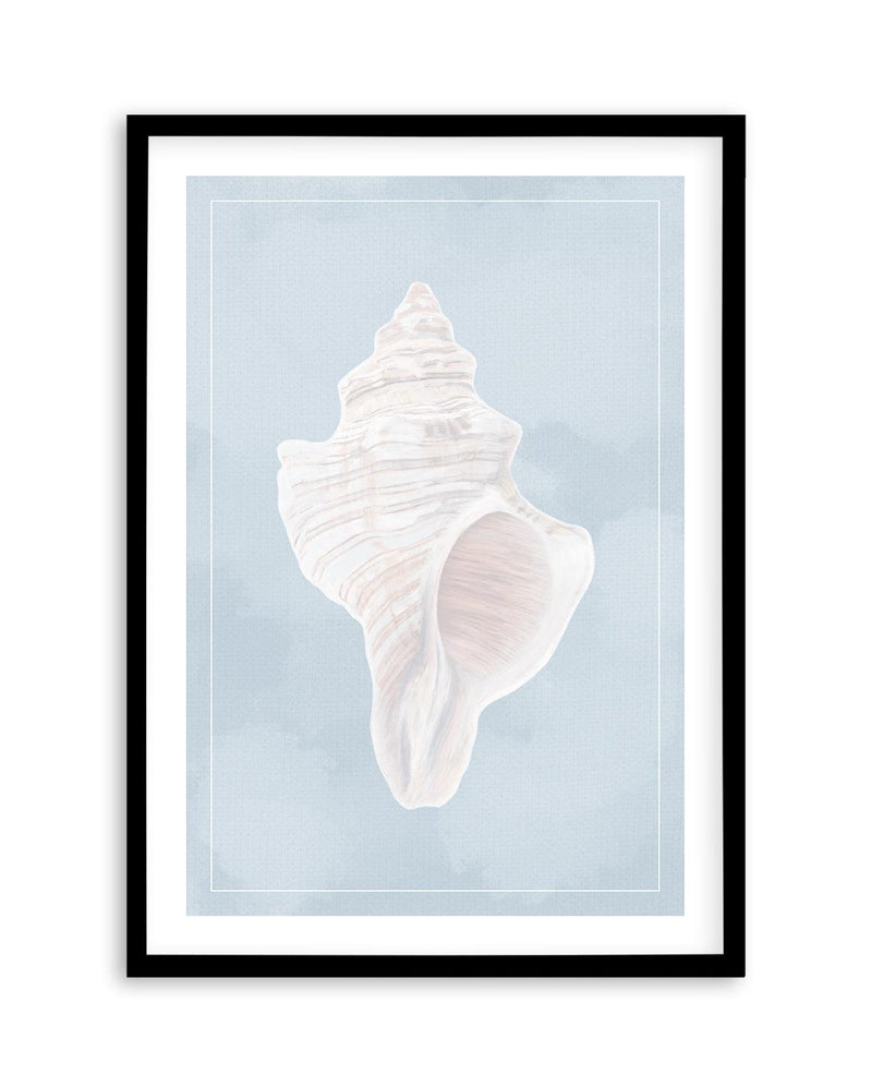 Seaside Shell II Art Print-PRINT-Olive et Oriel-Olive et Oriel-A5 | 5.8" x 8.3" | 14.8 x 21cm-Black-With White Border-Buy-Australian-Art-Prints-Online-with-Olive-et-Oriel-Your-Artwork-Specialists-Austrailia-Decorate-With-Coastal-Photo-Wall-Art-Prints-From-Our-Beach-House-Artwork-Collection-Fine-Poster-and-Framed-Artwork