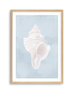 Seaside Shell II Art Print-PRINT-Olive et Oriel-Olive et Oriel-A5 | 5.8" x 8.3" | 14.8 x 21cm-Oak-With White Border-Buy-Australian-Art-Prints-Online-with-Olive-et-Oriel-Your-Artwork-Specialists-Austrailia-Decorate-With-Coastal-Photo-Wall-Art-Prints-From-Our-Beach-House-Artwork-Collection-Fine-Poster-and-Framed-Artwork