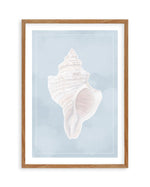 Seaside Shell II Art Print-PRINT-Olive et Oriel-Olive et Oriel-50x70 cm | 19.6" x 27.5"-Walnut-With White Border-Buy-Australian-Art-Prints-Online-with-Olive-et-Oriel-Your-Artwork-Specialists-Austrailia-Decorate-With-Coastal-Photo-Wall-Art-Prints-From-Our-Beach-House-Artwork-Collection-Fine-Poster-and-Framed-Artwork