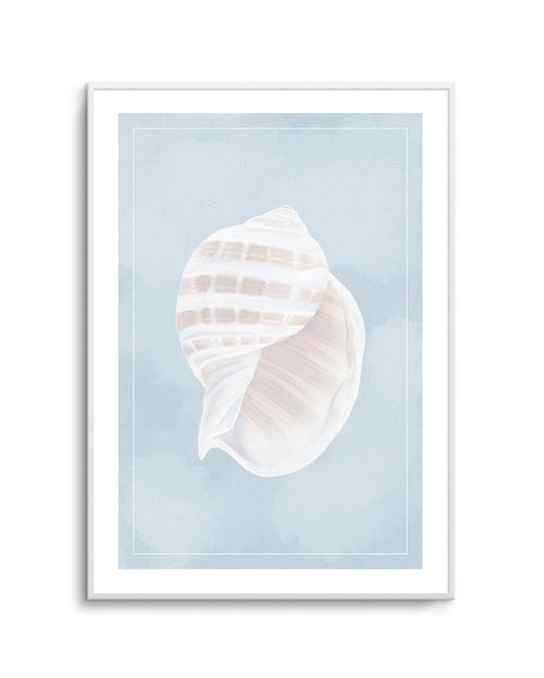 Seaside Shell III Art Print-PRINT-Olive et Oriel-Olive et Oriel-A5 | 5.8" x 8.3" | 14.8 x 21cm-Unframed Art Print-With White Border-Buy-Australian-Art-Prints-Online-with-Olive-et-Oriel-Your-Artwork-Specialists-Austrailia-Decorate-With-Coastal-Photo-Wall-Art-Prints-From-Our-Beach-House-Artwork-Collection-Fine-Poster-and-Framed-Artwork