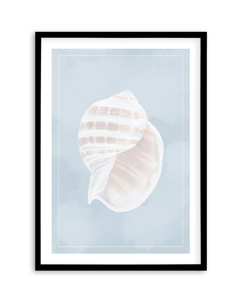 Seaside Shell III Art Print-PRINT-Olive et Oriel-Olive et Oriel-A5 | 5.8" x 8.3" | 14.8 x 21cm-Black-With White Border-Buy-Australian-Art-Prints-Online-with-Olive-et-Oriel-Your-Artwork-Specialists-Austrailia-Decorate-With-Coastal-Photo-Wall-Art-Prints-From-Our-Beach-House-Artwork-Collection-Fine-Poster-and-Framed-Artwork
