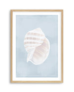 Seaside Shell III Art Print-PRINT-Olive et Oriel-Olive et Oriel-A5 | 5.8" x 8.3" | 14.8 x 21cm-Oak-With White Border-Buy-Australian-Art-Prints-Online-with-Olive-et-Oriel-Your-Artwork-Specialists-Austrailia-Decorate-With-Coastal-Photo-Wall-Art-Prints-From-Our-Beach-House-Artwork-Collection-Fine-Poster-and-Framed-Artwork