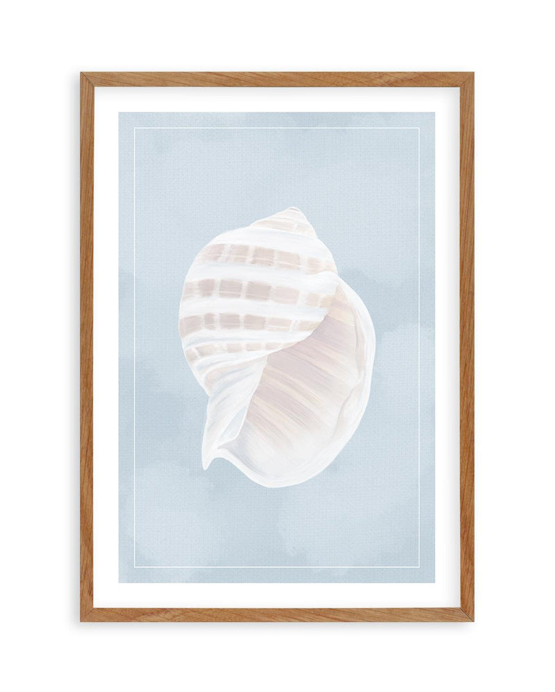Seaside Shell III Art Print-PRINT-Olive et Oriel-Olive et Oriel-50x70 cm | 19.6" x 27.5"-Walnut-With White Border-Buy-Australian-Art-Prints-Online-with-Olive-et-Oriel-Your-Artwork-Specialists-Austrailia-Decorate-With-Coastal-Photo-Wall-Art-Prints-From-Our-Beach-House-Artwork-Collection-Fine-Poster-and-Framed-Artwork