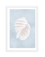 Seaside Shell III Art Print-PRINT-Olive et Oriel-Olive et Oriel-A5 | 5.8" x 8.3" | 14.8 x 21cm-White-With White Border-Buy-Australian-Art-Prints-Online-with-Olive-et-Oriel-Your-Artwork-Specialists-Austrailia-Decorate-With-Coastal-Photo-Wall-Art-Prints-From-Our-Beach-House-Artwork-Collection-Fine-Poster-and-Framed-Artwork