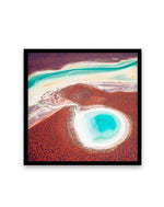 Shark Bay, WA | SQ Art Print-PRINT-Olive et Oriel-Olive et Oriel-70x70 cm | 27.5" x 27.5"-Black-With White Border-Buy-Australian-Art-Prints-Online-with-Olive-et-Oriel-Your-Artwork-Specialists-Austrailia-Decorate-With-Coastal-Photo-Wall-Art-Prints-From-Our-Beach-House-Artwork-Collection-Fine-Poster-and-Framed-Artwork