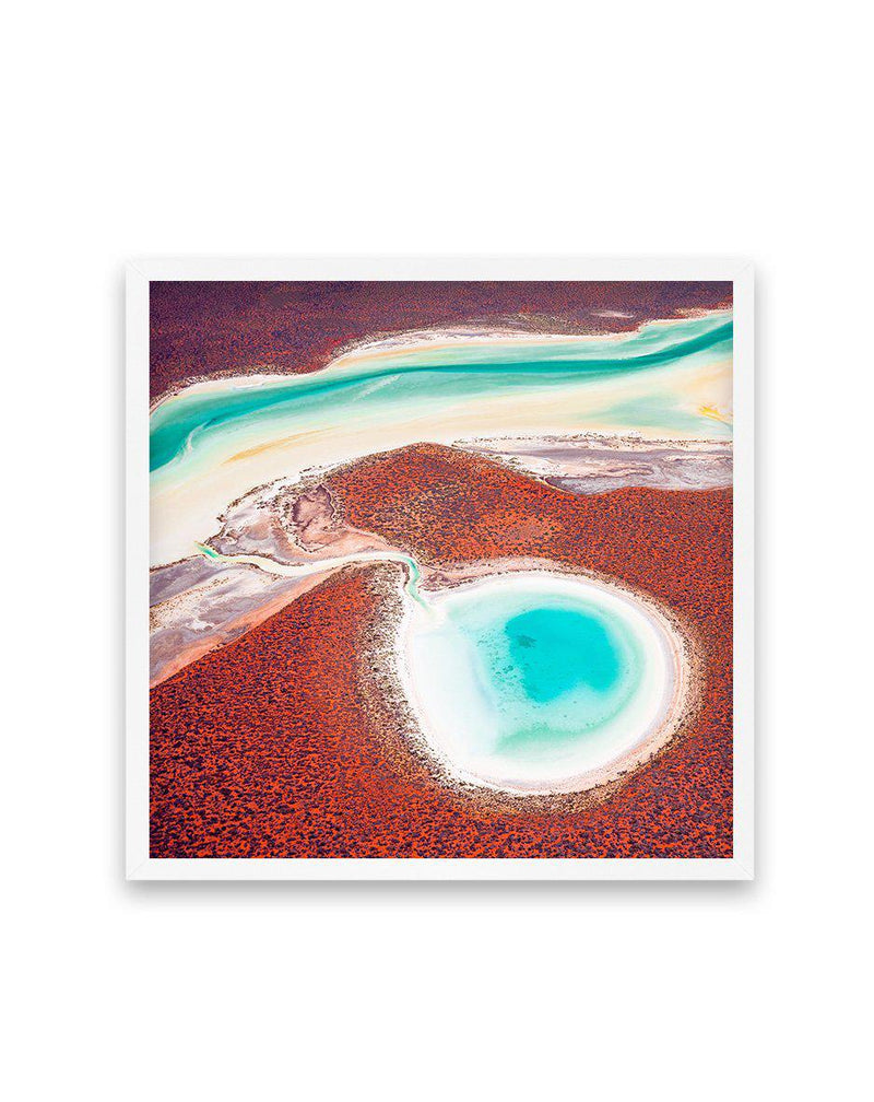 Shark Bay, WA | SQ Art Print-PRINT-Olive et Oriel-Olive et Oriel-70x70 cm | 27.5" x 27.5"-White-With White Border-Buy-Australian-Art-Prints-Online-with-Olive-et-Oriel-Your-Artwork-Specialists-Austrailia-Decorate-With-Coastal-Photo-Wall-Art-Prints-From-Our-Beach-House-Artwork-Collection-Fine-Poster-and-Framed-Artwork