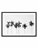 Six Palms Art Print-PRINT-Olive et Oriel-Olive et Oriel-A5 | 5.8" x 8.3" | 14.8 x 21cm-Black-With White Border-Buy-Australian-Art-Prints-Online-with-Olive-et-Oriel-Your-Artwork-Specialists-Austrailia-Decorate-With-Coastal-Photo-Wall-Art-Prints-From-Our-Beach-House-Artwork-Collection-Fine-Poster-and-Framed-Artwork