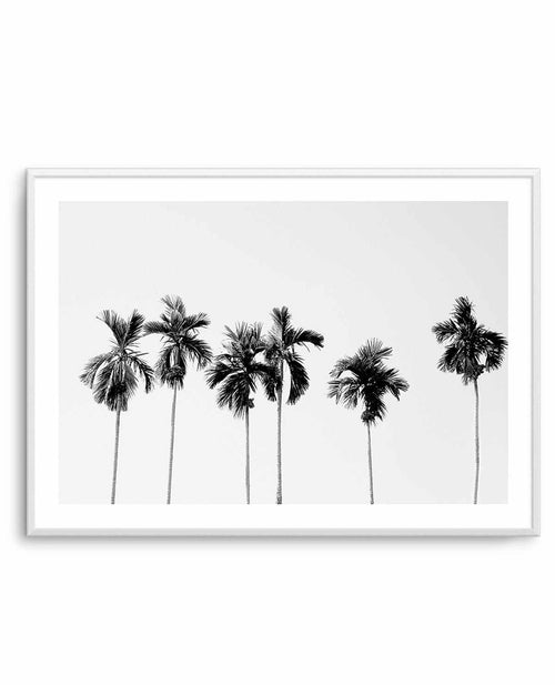 Six Palms Art Print-PRINT-Olive et Oriel-Olive et Oriel-A5 | 5.8" x 8.3" | 14.8 x 21cm-Unframed Art Print-With White Border-Buy-Australian-Art-Prints-Online-with-Olive-et-Oriel-Your-Artwork-Specialists-Austrailia-Decorate-With-Coastal-Photo-Wall-Art-Prints-From-Our-Beach-House-Artwork-Collection-Fine-Poster-and-Framed-Artwork