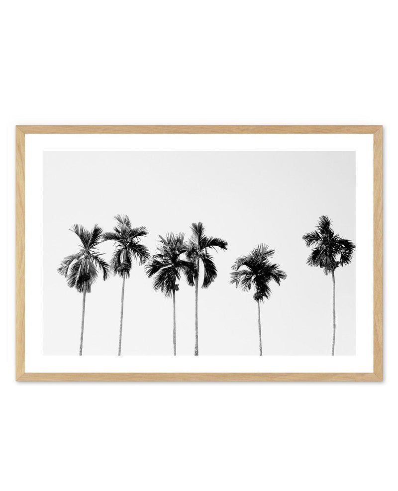 Six Palms Art Print-PRINT-Olive et Oriel-Olive et Oriel-A5 | 5.8" x 8.3" | 14.8 x 21cm-Oak-With White Border-Buy-Australian-Art-Prints-Online-with-Olive-et-Oriel-Your-Artwork-Specialists-Austrailia-Decorate-With-Coastal-Photo-Wall-Art-Prints-From-Our-Beach-House-Artwork-Collection-Fine-Poster-and-Framed-Artwork