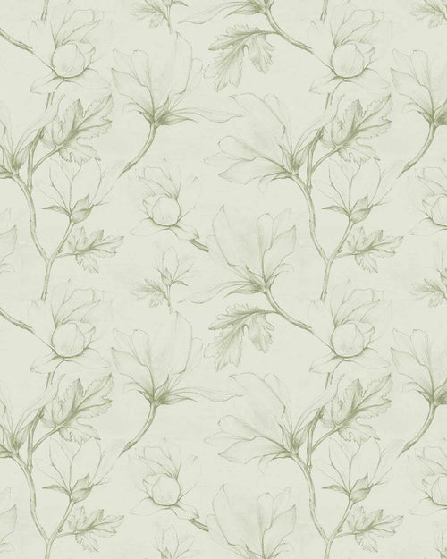 Sketched Magnolias Sage Green Wallpaper-Wallpaper-Buy Australian Removable Wallpaper Now Sage Green Wallpaper Peel And Stick Wallpaper Online At Olive et Oriel Custom Made Wallpapers Wall Papers Decorate Your Bedroom Living Room Kids Room or Commercial Interior