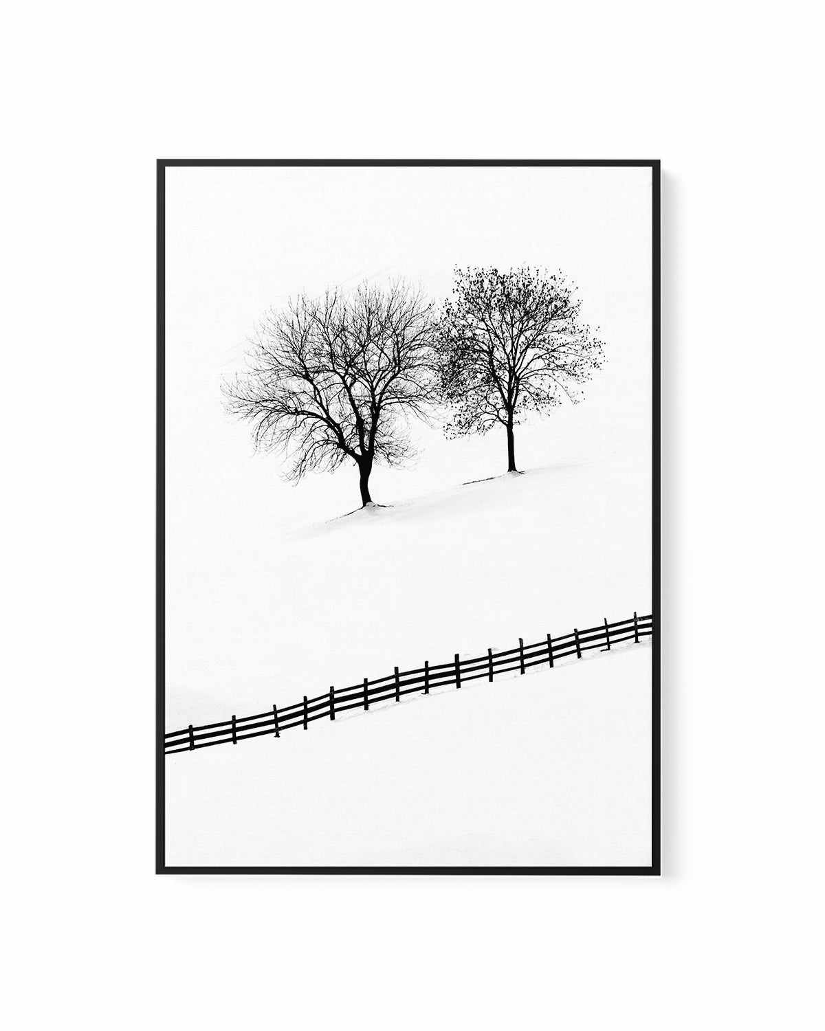 Snow Trees by Mario Stefanelli | Framed Canvas Art Print