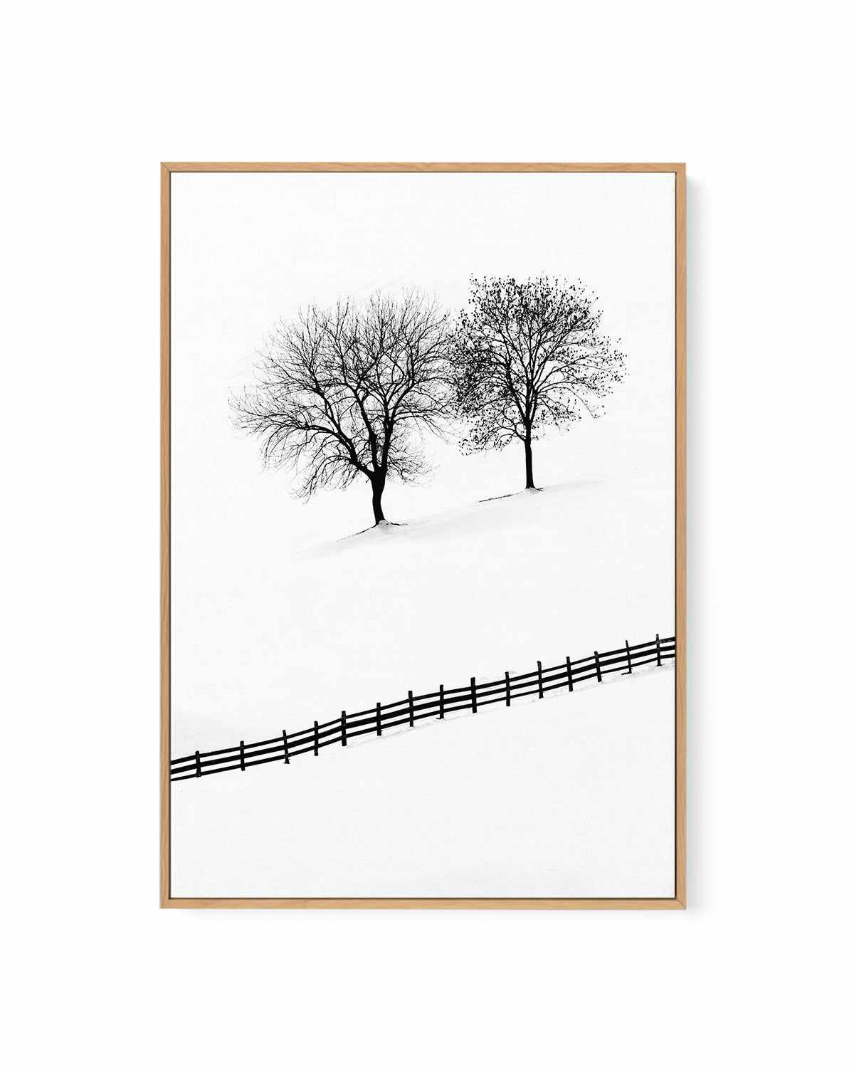 Snow Trees by Mario Stefanelli | Framed Canvas Art Print